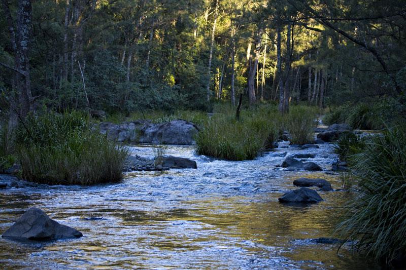 Manning River near Gloryvale Reserve