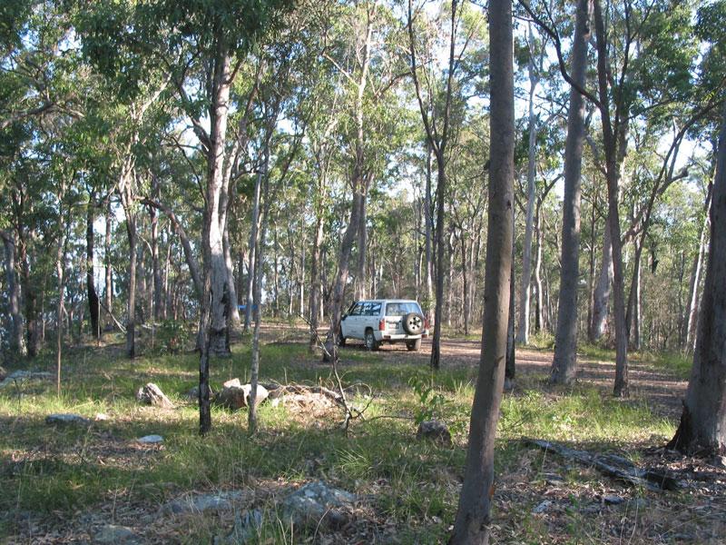 Secluded campsitesOne of 14 different camping areas at Scenic Rim Adventure Park