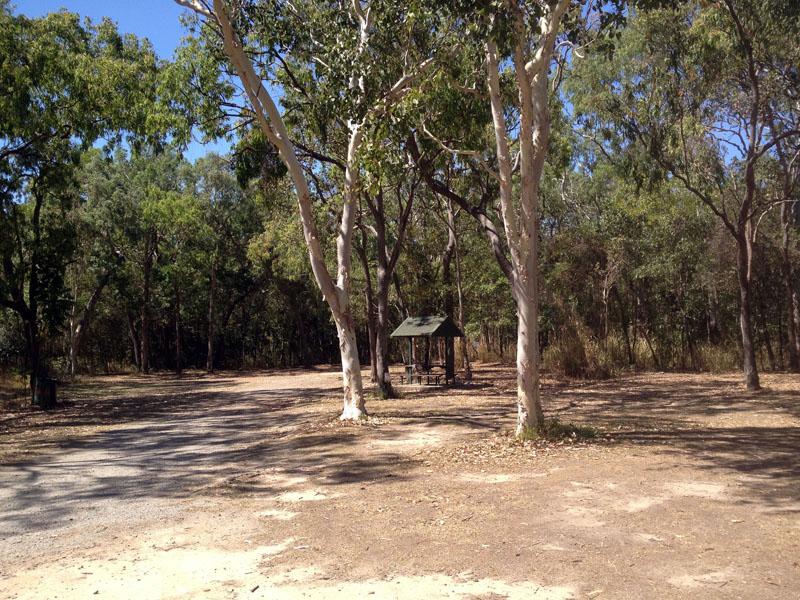 Rifle Creek Rest AreaLarge, level and shady sites, suitable for vans